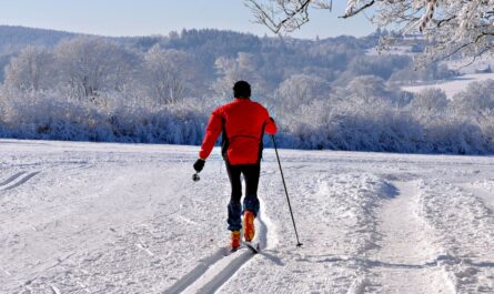 découvrez la magie des paysages hivernaux avec la raquette à neige. parfait pour les amateurs de nature et d'aventure, cette activité vous permet d'explorer des sentiers vierges, de profiter de l'air frais et de vivre des moments inoubliables en famille ou entre amis. préparez-vous à des expériences mémorables dans la neige!